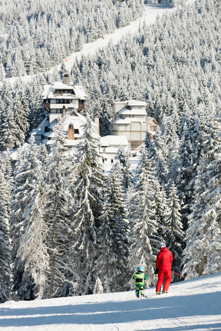 Winter journey solutions